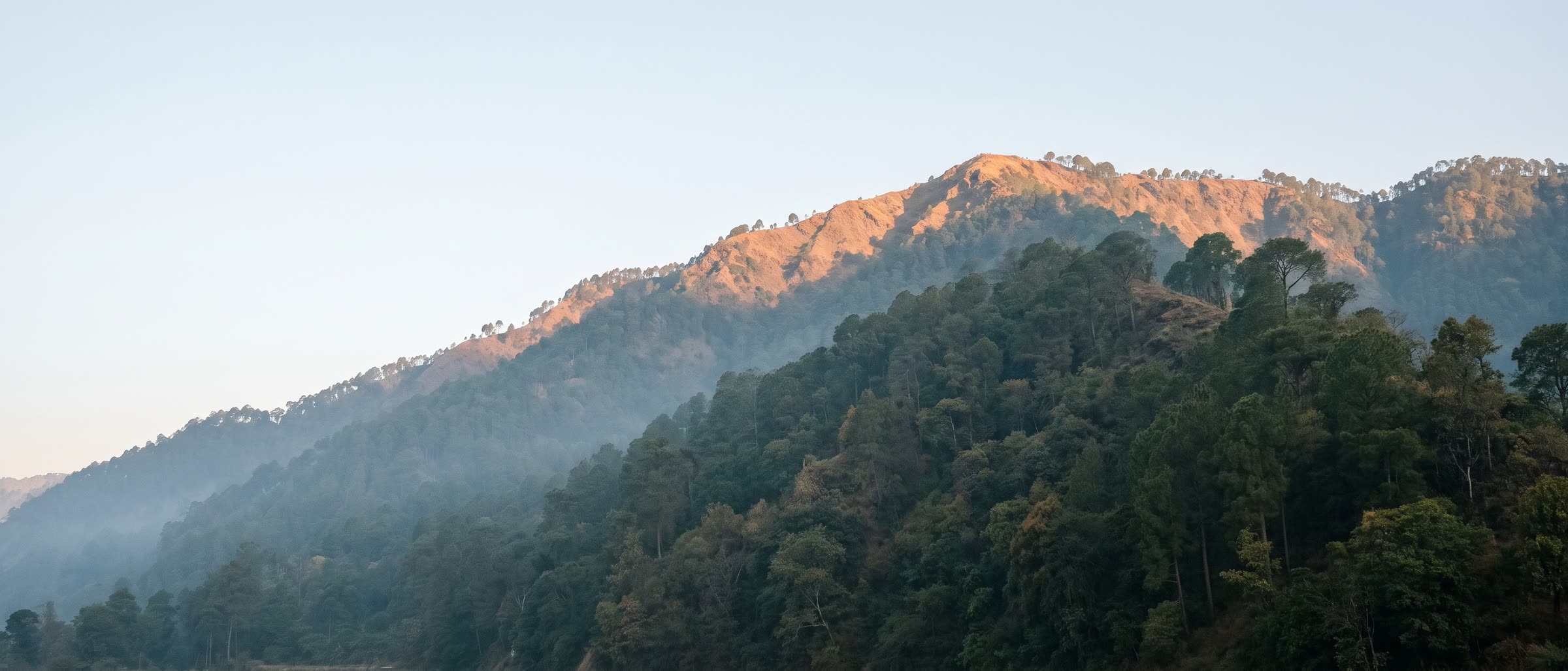 The first sun lighting the crest of a steep forested ridge while its lower slopes are still in blue shade.